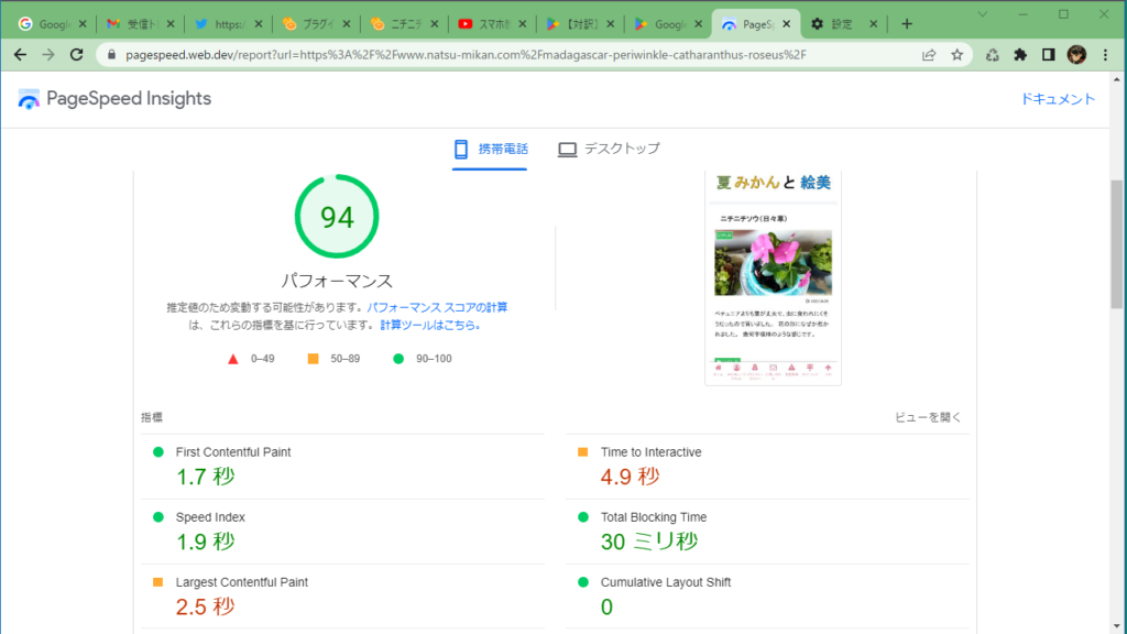 夏みかんと絵美　ニチニチソウ（日々草）のページ速度について　携帯電話　９４点になりました。